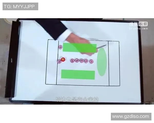 飞盘战术解析：杭州飞盘队如何运用包夹体系提升比赛胜率